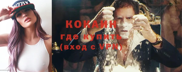 прущие грибы Арсеньев