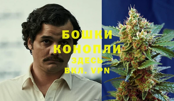молекула духа Аркадак