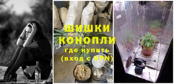 прущие грибы Арсеньев