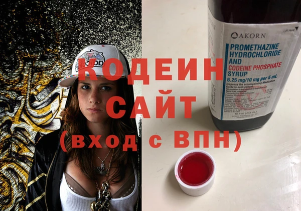 прущие грибы Арсеньев