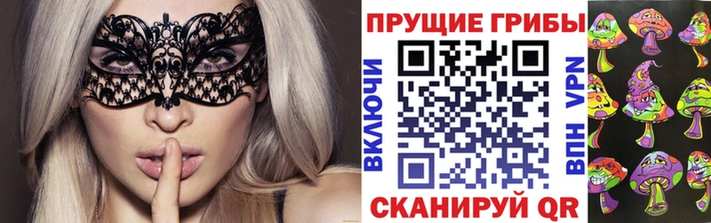 Псилоцибиновые грибы ЛСД  Аркадак 